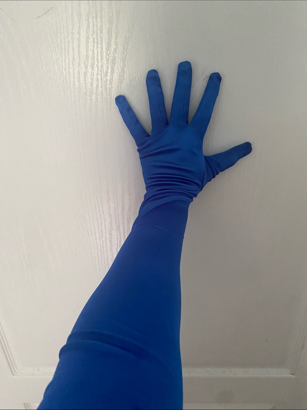 Amazon Long Royal Blue Satin Gloves
